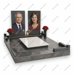 Двойной комплекс ДК-83