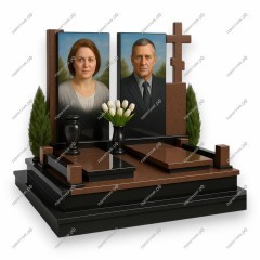 Двойной комплекс ДК-113