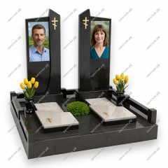 Двойной комплекс ДК-259