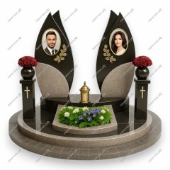 Двойной комплекс ДК-269